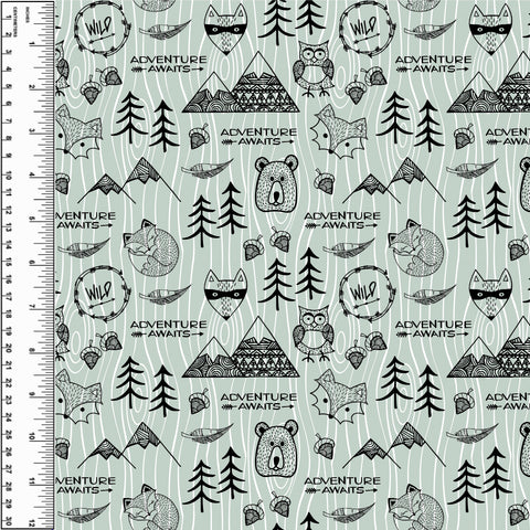 PREORDER Adventure Awaits Sage Small Scale