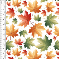 **NEW** PREORDER Autumn Maple Leaves