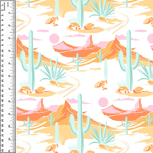 **NEW** PREORDER Bubblegum Sunset Desert