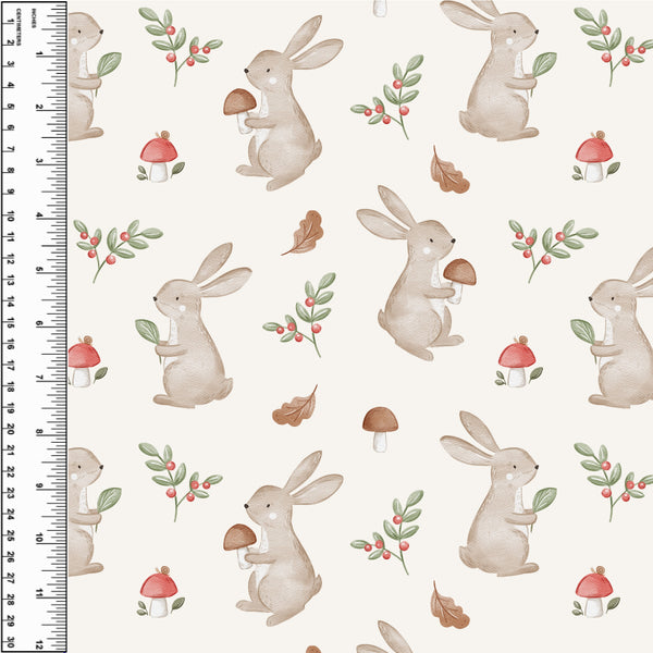 **NEW** PREORDER Bunnies & Mushrooms
