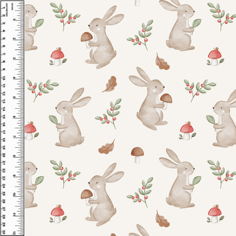 **NEW** PREORDER Bunnies & Mushrooms
