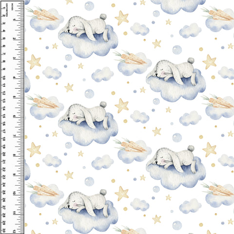 PREORDER Carrot Bunny Dreams