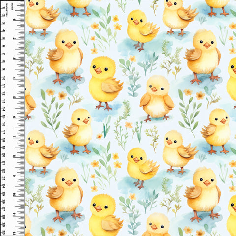 PREORDER Chicken Babies