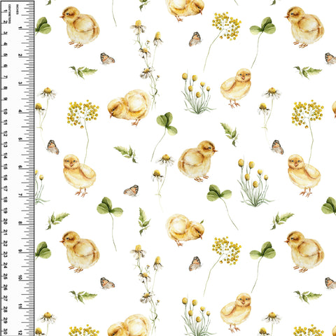 **NEW** PREORDER Chicks