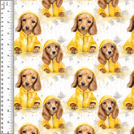 PREORDER Dachshund Raincoat