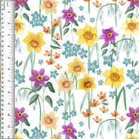 PREORDER Daffodils on White