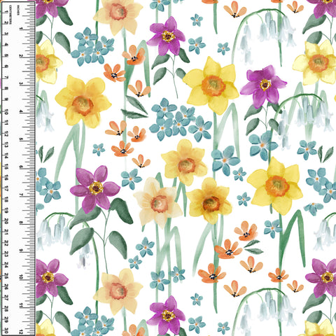 PREORDER Daffodils on White