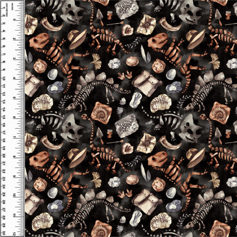 PREORDER Dinosaur Fossils Dark