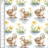 PREORDER Duck Babies