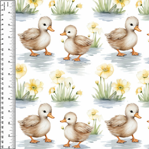 PREORDER Duck Babies