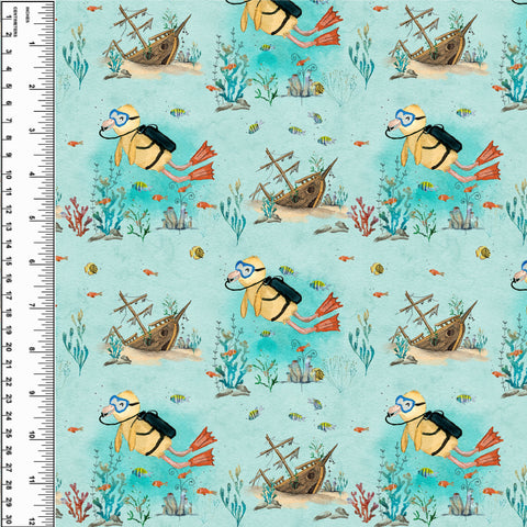 PREORDER Duck Scuba Diving