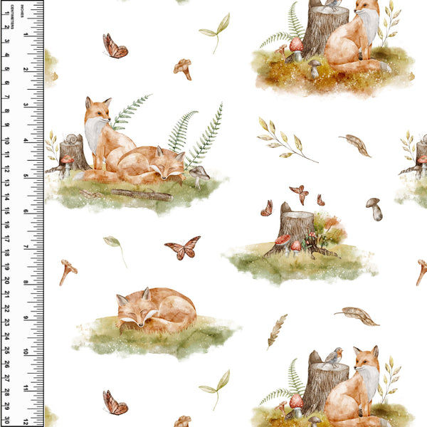 **NEW** PREORDER Forest Stump Foxes