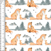 PREORDER Fox Family