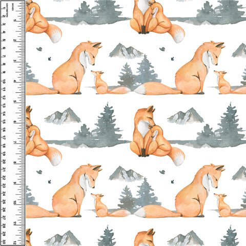 PREORDER Fox Family
