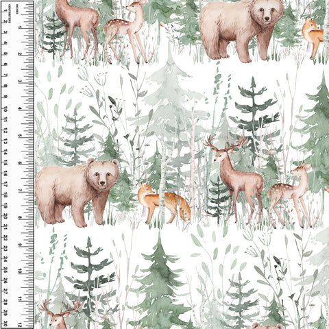 PREORDER Friends of the Forest