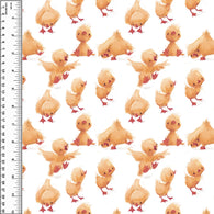 PREORDER Fuzzy Duck