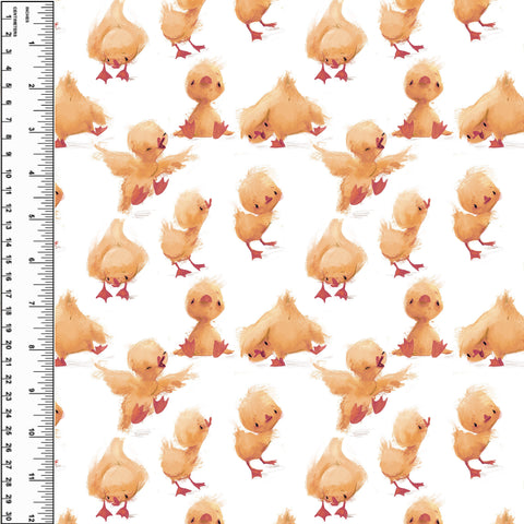 PREORDER Fuzzy Duck