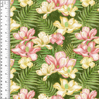 PREORDER Hibiscus