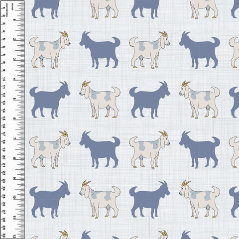 PREORDER Goats