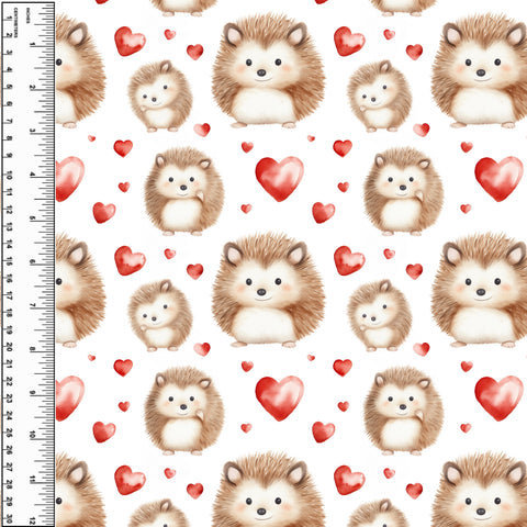PREORDER Hedgehog Love