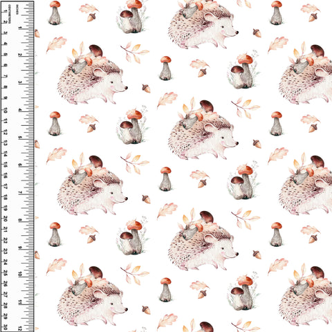 **NEW** PREORDER Hedgehog Mushroom