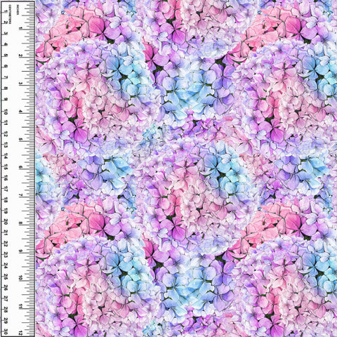 PREORDER Hydrangeas