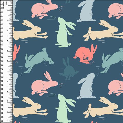 **NEW** PREORDER Jumping Rabbits