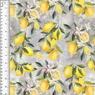 PREORDER Lemons on Cement