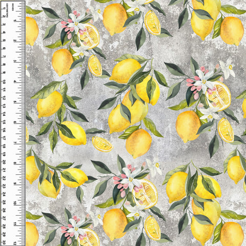 PREORDER Lemons on Cement