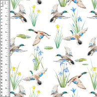 PREORDER Mallards