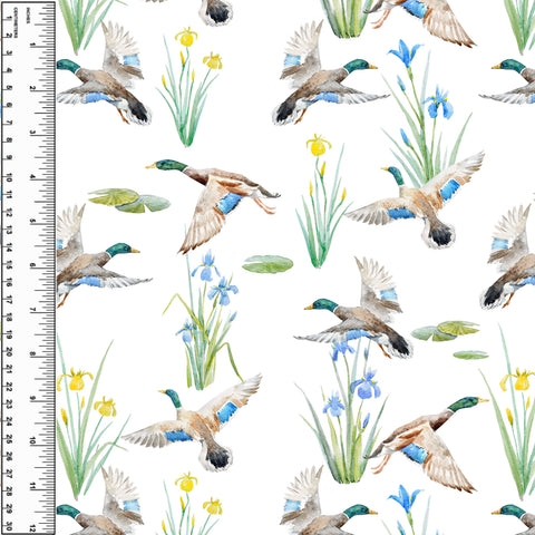 PREORDER Mallards