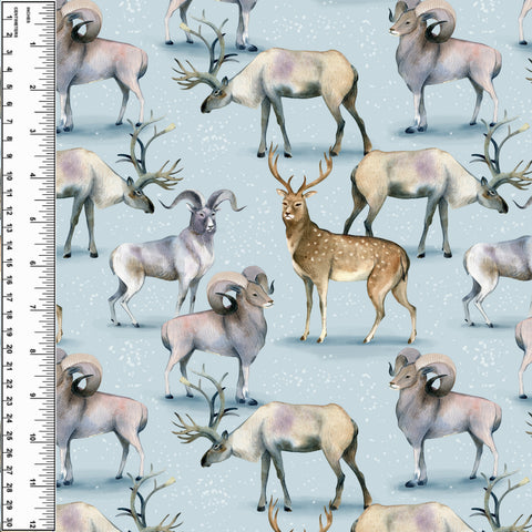 PREORDER Mountain Wildlife