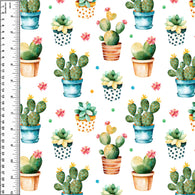 PREORDER Potted Cactus