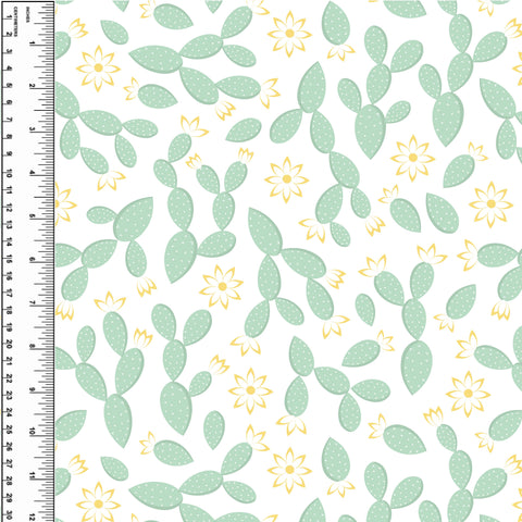 PREORDER Prickly Pear