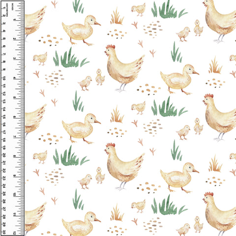 PREORDER Quack