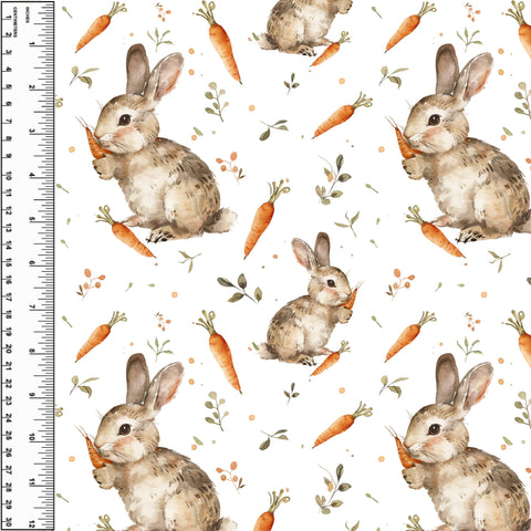 PREORDER Rabbit Carrots