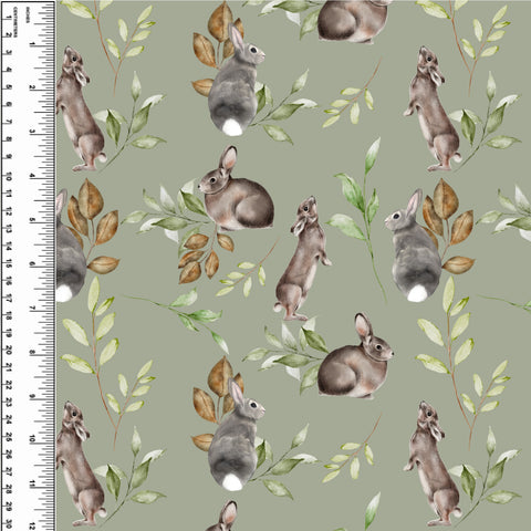 PREORDER Rabbits