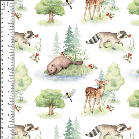 PREORDER Raccoon Beaver Deer