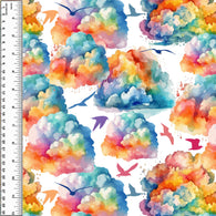PREORDER Rainbow Clouds Birds