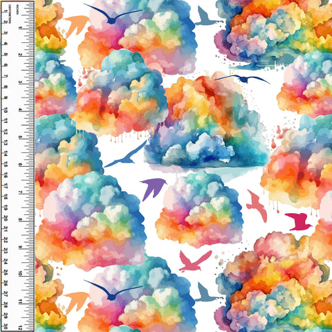PREORDER Rainbow Clouds Birds