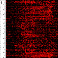 Red Grunge Bubbles Board Short