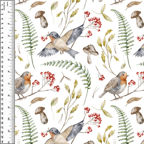 **NEW** PREORDER Robins & Berries