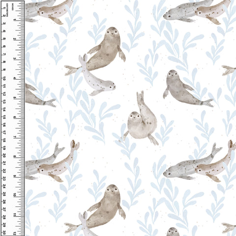 PREORDER Scandi Seals Pacific
