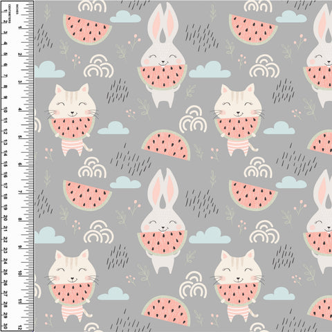 PREORDER Scandi Watermelon Cat Bunny