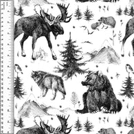 PREORDER Sketched Forest