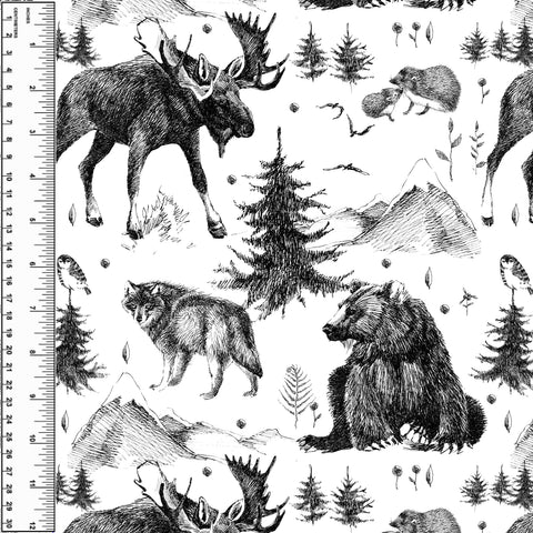PREORDER Sketched Forest
