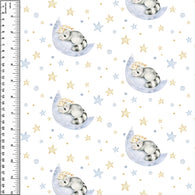 PREORDER Sleepy Raccoons