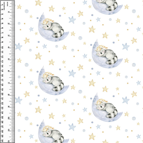 PREORDER Sleepy Raccoons