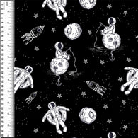 PREORDER Space Fishing