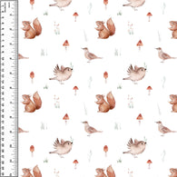**NEW** PREORDER Squirrel Mushroom Birds